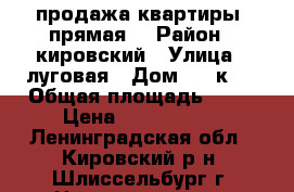 продажа квартиры  прямая  › Район ­ кировский › Улица ­ луговая › Дом ­ 4 к 1 › Общая площадь ­ 35 › Цена ­ 2 150 000 - Ленинградская обл., Кировский р-н, Шлиссельбург г. Недвижимость » Квартиры продажа   